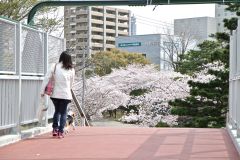 徳島城公園